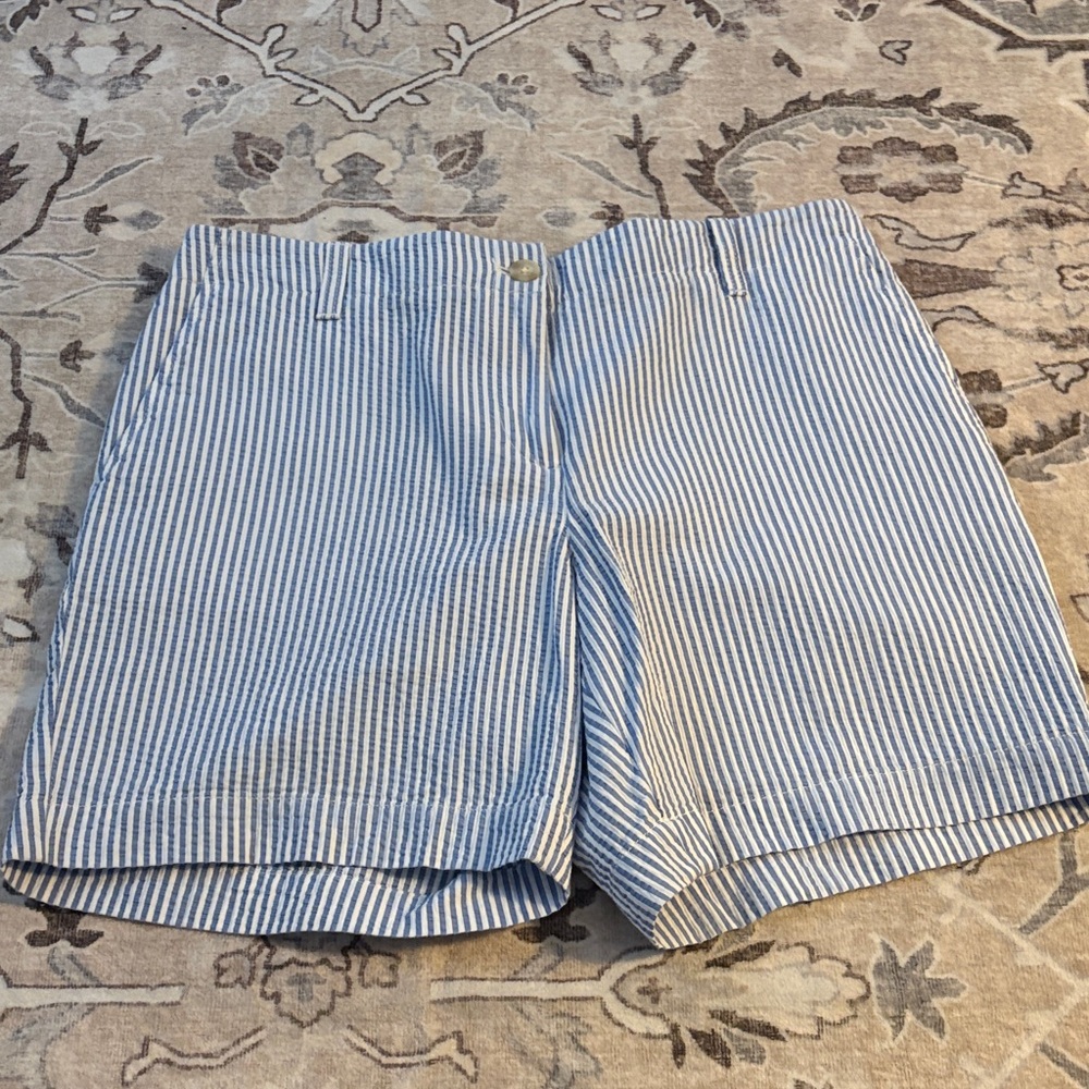 Talbots Blue & White Striped Women’s Shorts